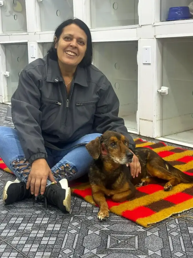 Equipe de voluntários do Projeto Cão Esperança com cães resgatados