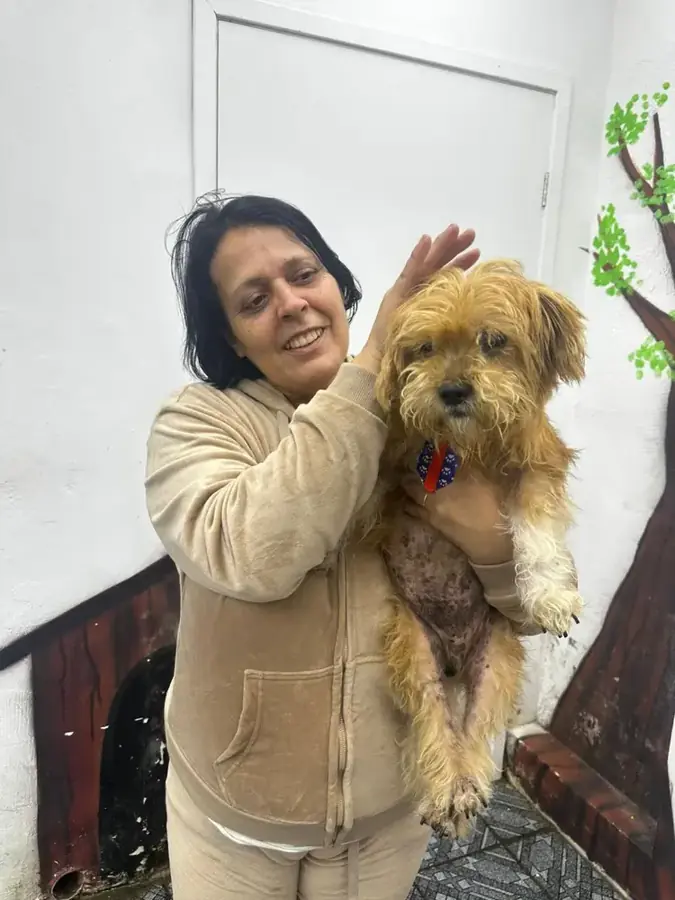 Cão resgatado no colo da voluntária após o banho