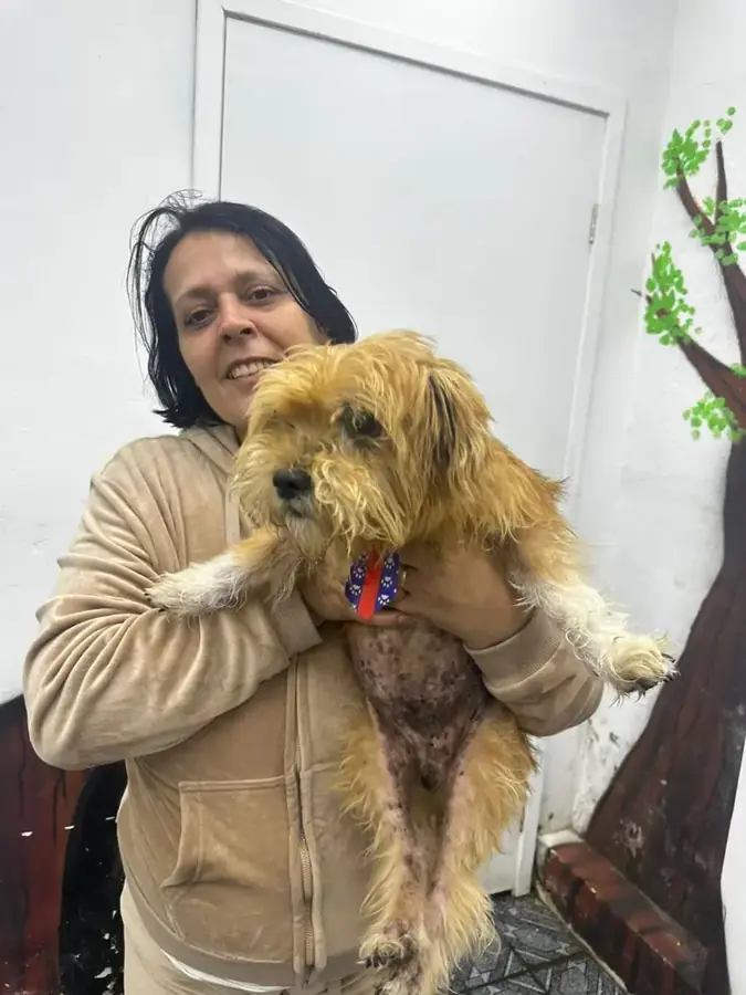 Voluntária segurando cão de pelo claro resgatado das ruas